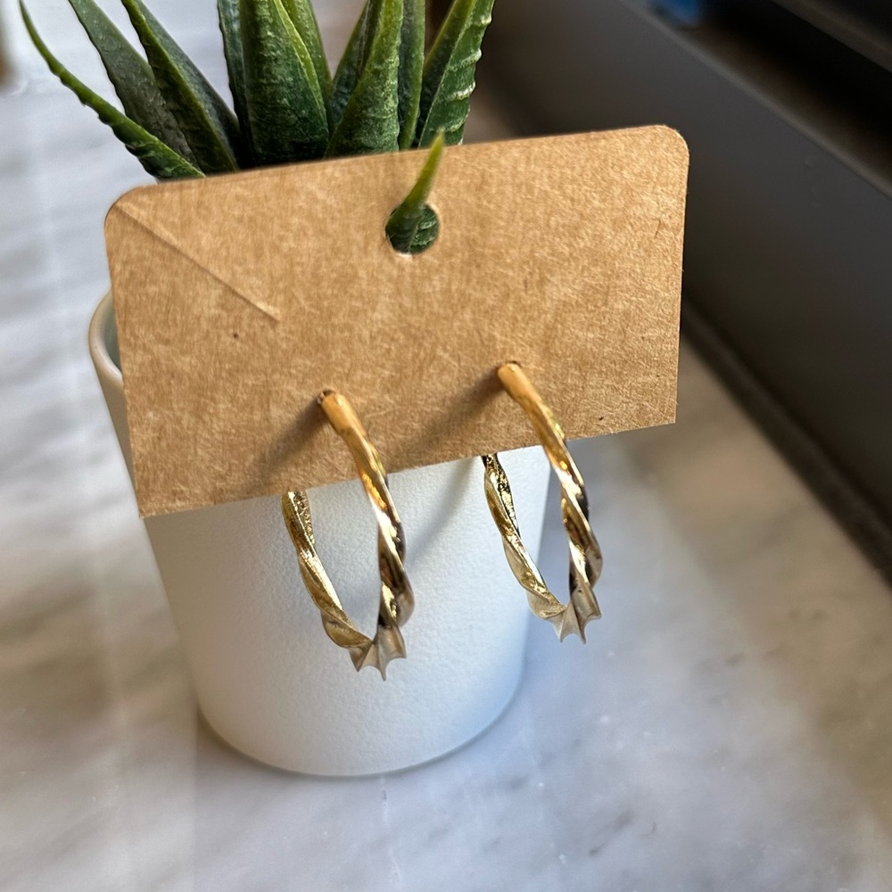 Classic Swirl Hoop Earrings